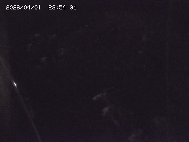 取得できませんでした