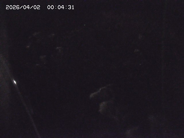 取得できませんでした