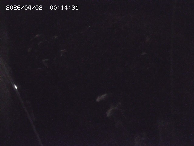 取得できませんでした