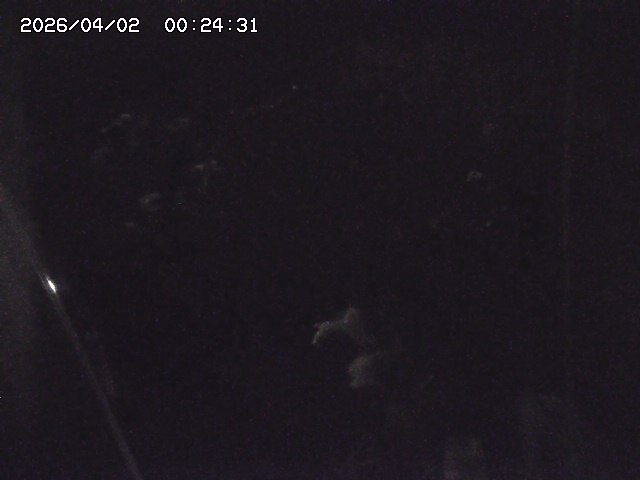 取得できませんでした