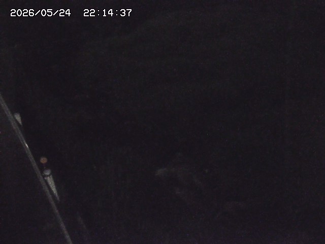 取得できませんでした