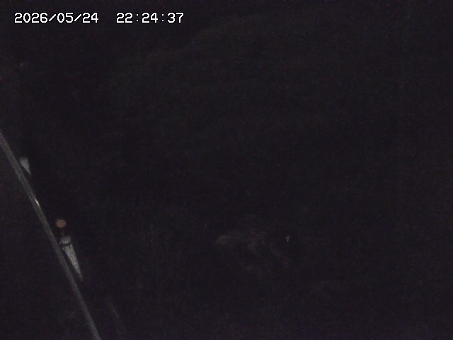 取得できませんでした