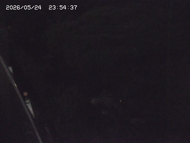 取得できませんでした