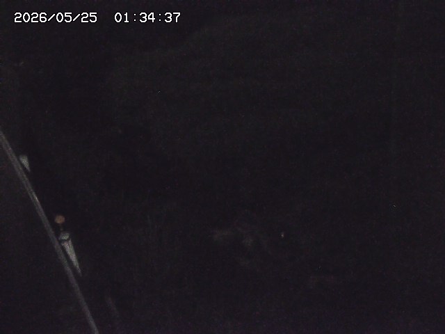 取得できませんでした