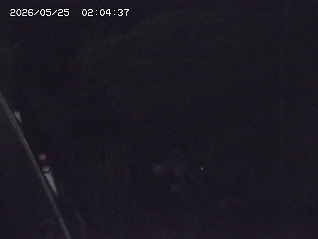 取得できませんでした