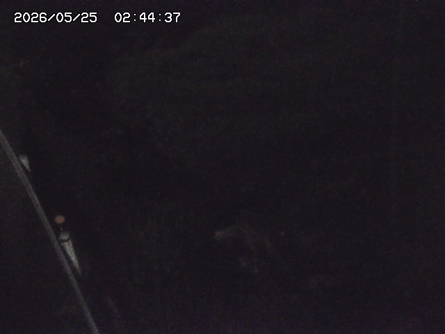 取得できませんでした
