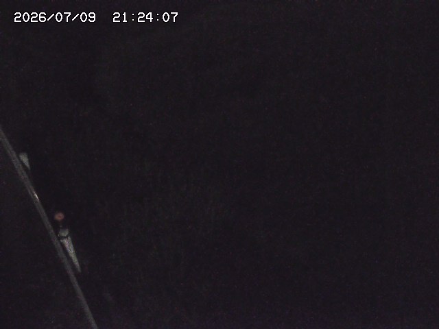 取得できませんでした