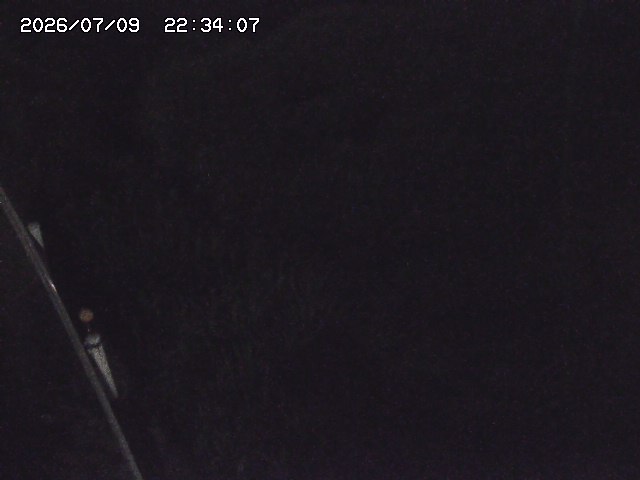 取得できませんでした