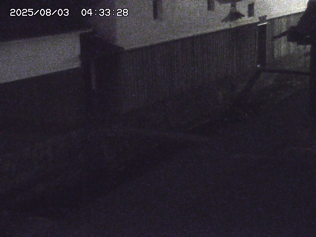 取得できませんでした