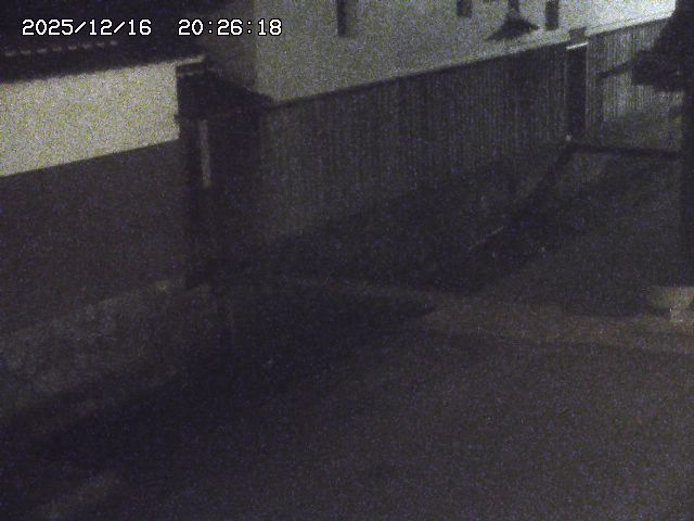 取得できませんでした