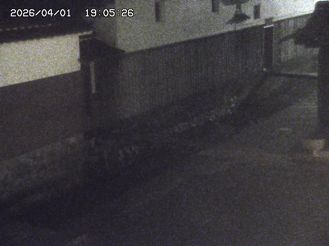 取得できませんでした