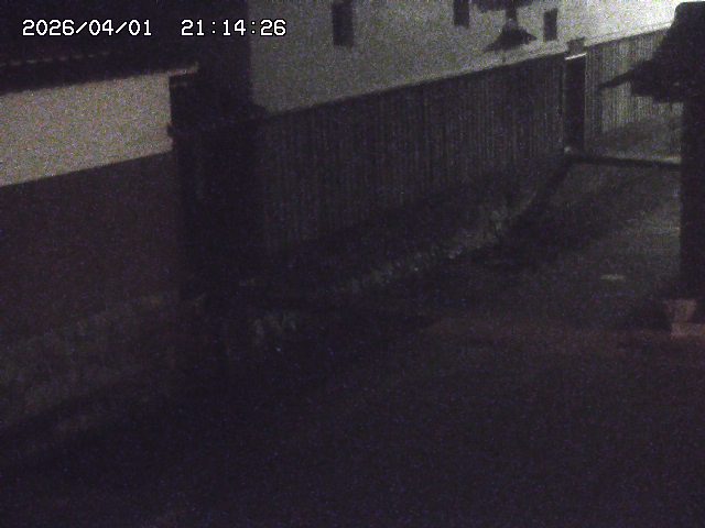 取得できませんでした