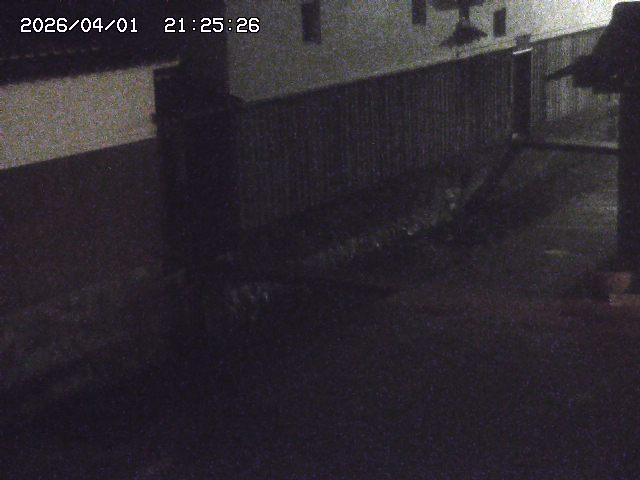 取得できませんでした