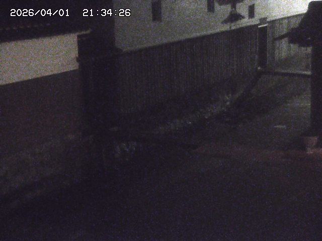 取得できませんでした