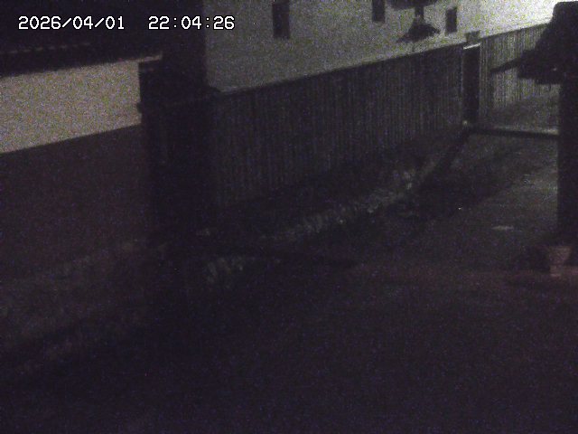 取得できませんでした