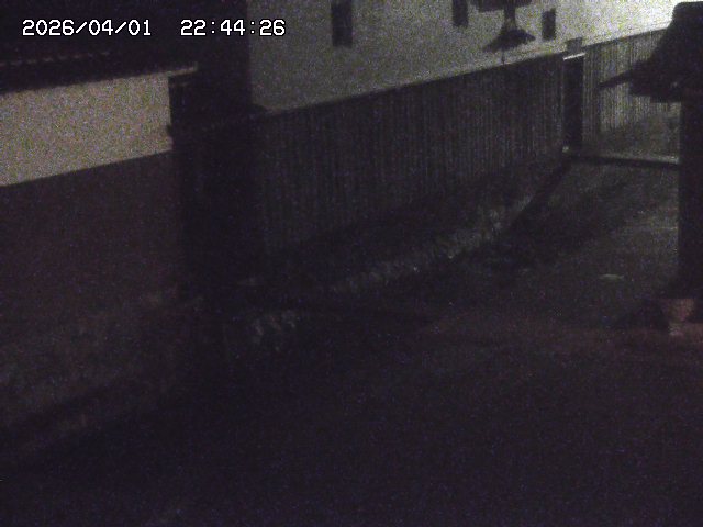 取得できませんでした