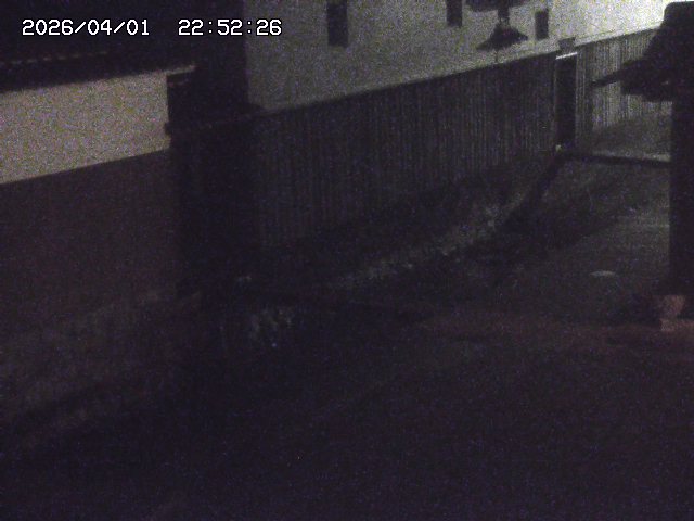 取得できませんでした