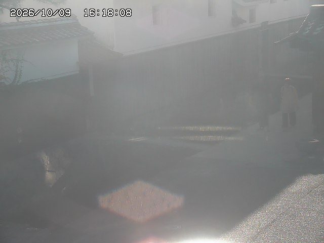 取得できませんでした