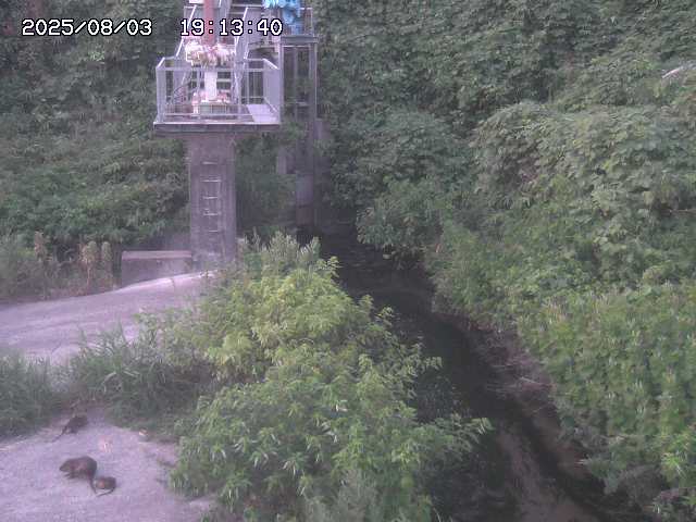 取得できませんでした