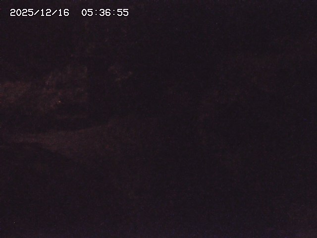 取得できませんでした