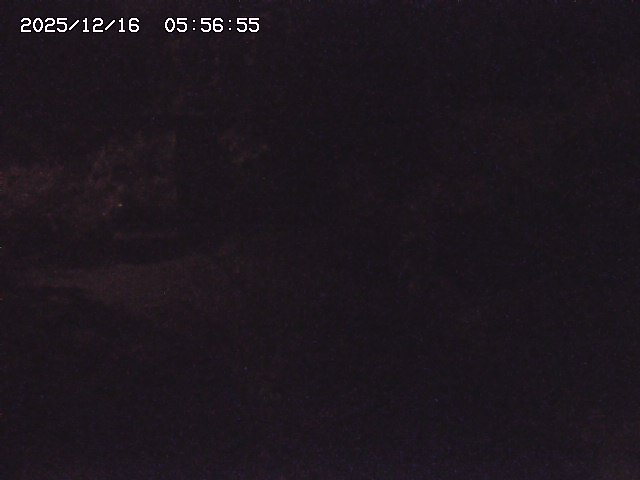 取得できませんでした