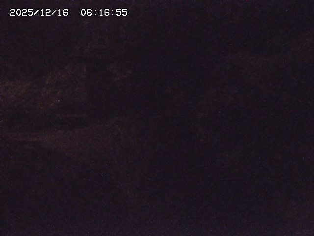 取得できませんでした