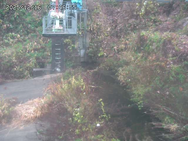 取得できませんでした