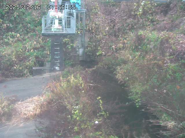 取得できませんでした