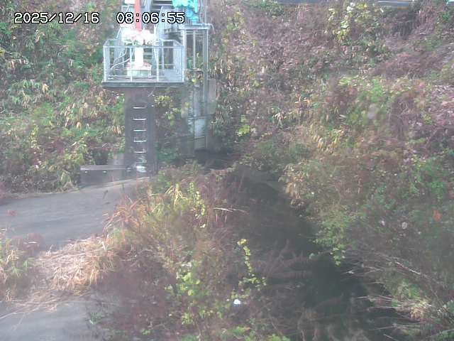 取得できませんでした