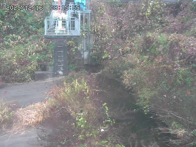 取得できませんでした