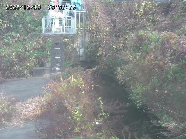 取得できませんでした