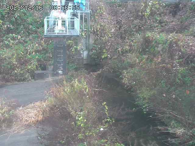 取得できませんでした