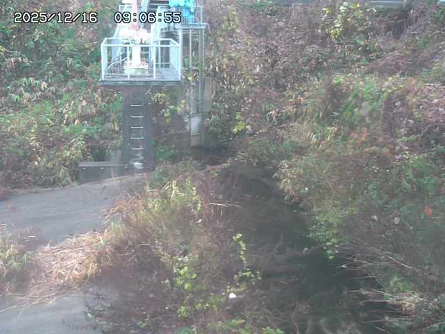 取得できませんでした