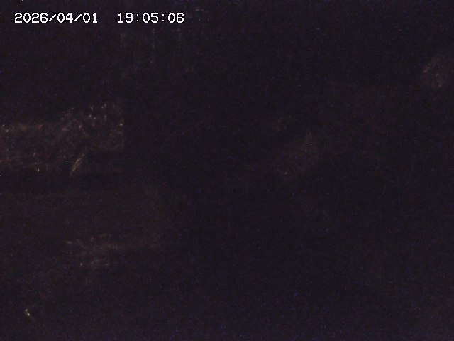 取得できませんでした