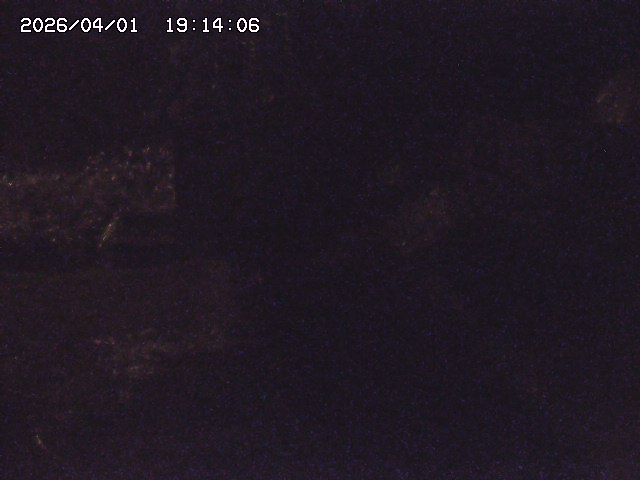 取得できませんでした