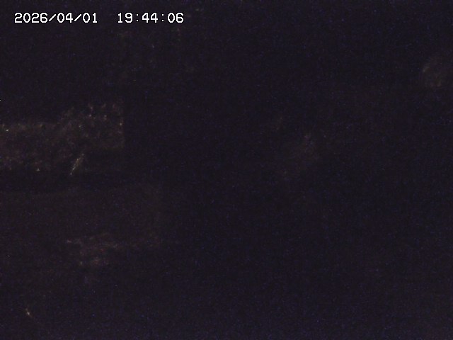 取得できませんでした