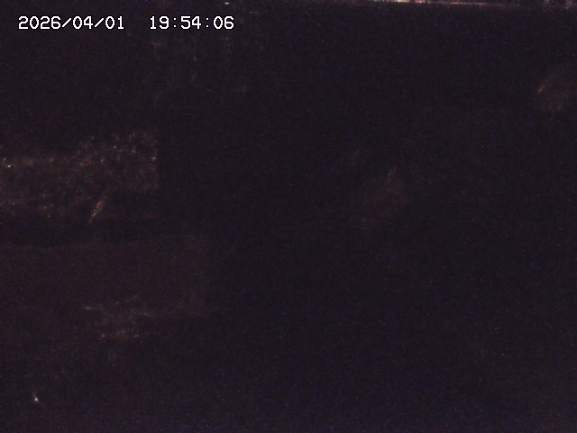 取得できませんでした