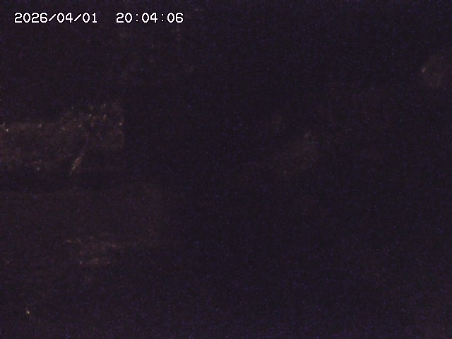 取得できませんでした