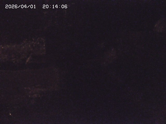 取得できませんでした