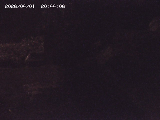 取得できませんでした