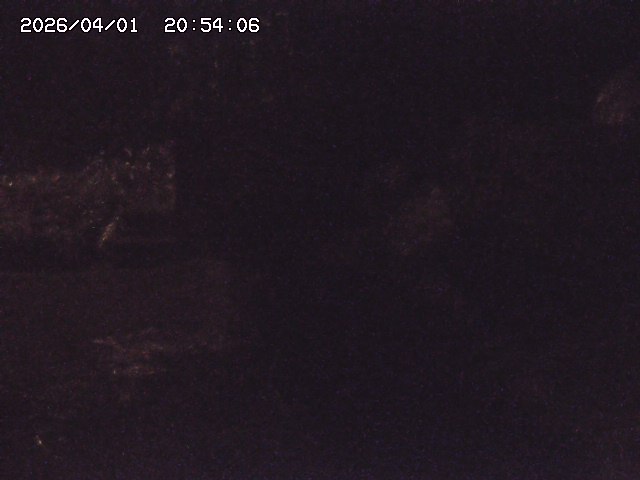 取得できませんでした