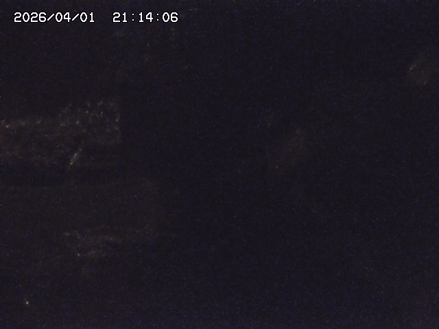 取得できませんでした