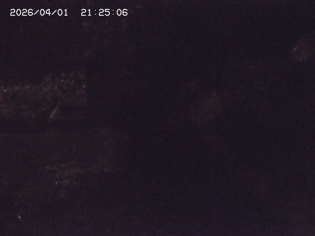 取得できませんでした