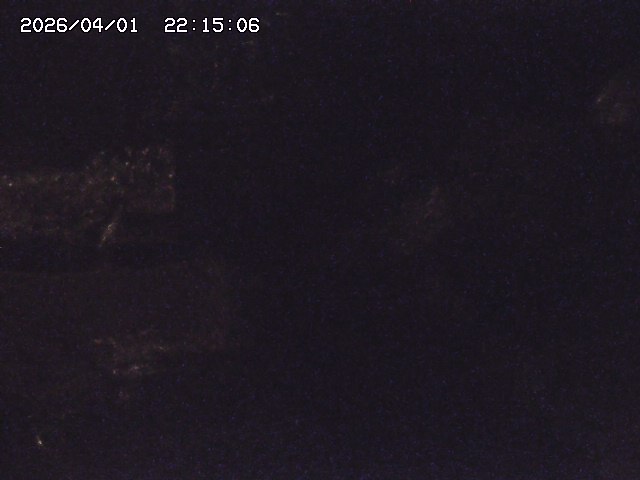 取得できませんでした