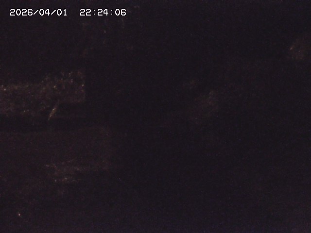 取得できませんでした