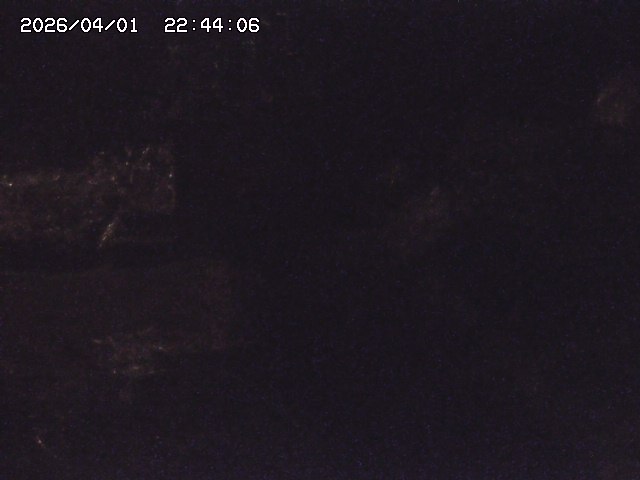 取得できませんでした