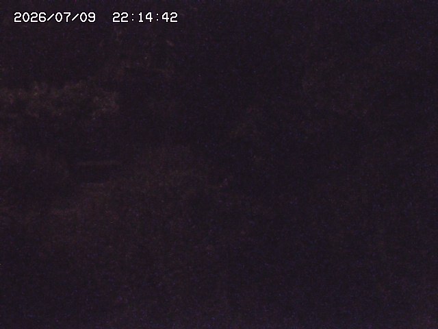取得できませんでした
