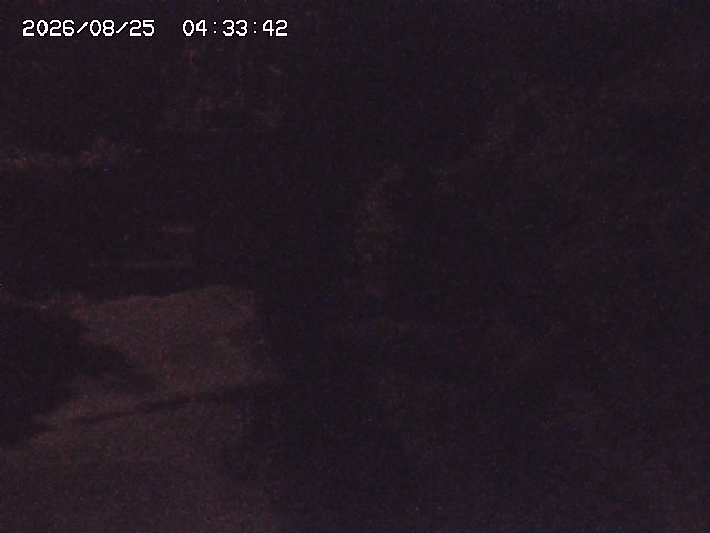取得できませんでした