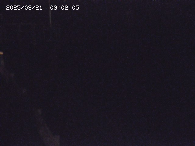 取得できませんでした