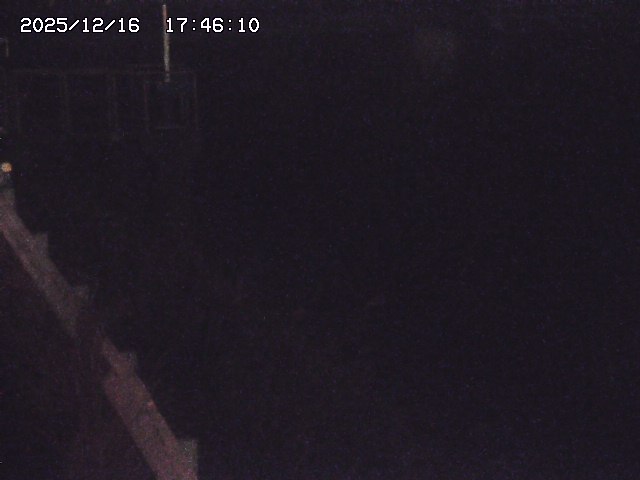 取得できませんでした